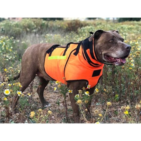 Chaleco ÉLITE Bulwark - razas pequeñas Chaleco ÉLITE Bulwark - razas pequeñas