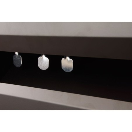 Diana de 5 péndulos