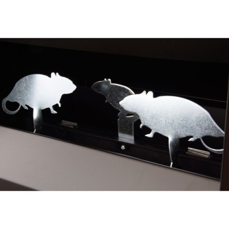 Diana de péndulos - 2 ratas