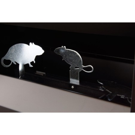 Diana de péndulos - 2 ratas