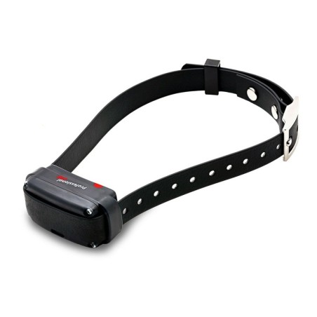 Dogtrace Professional 2000 One+ Negro