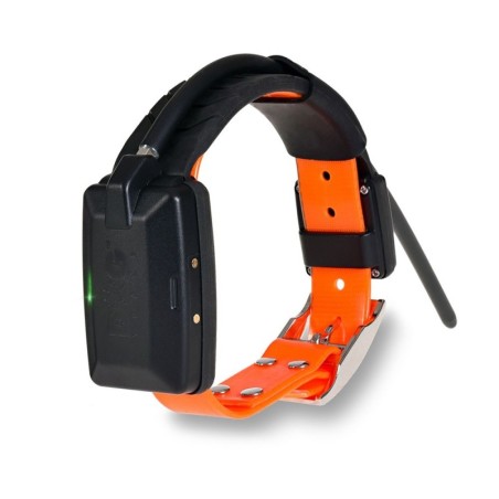 Dogtrace GPS X30