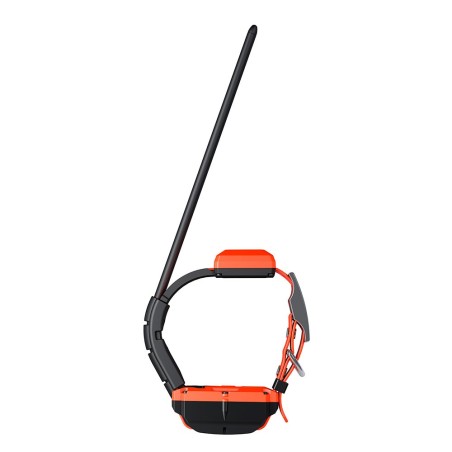 Collar adicional GPS X40