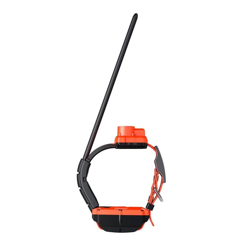 Collar adicional GPS X40-B
