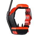 Collar adicional GPS X40-T