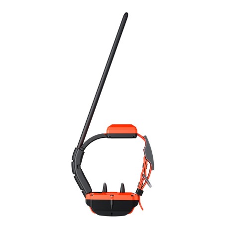 Collar adicional GPS X40-T