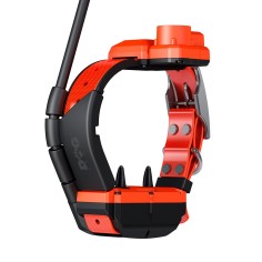 Collar adicional GPS X40-TB